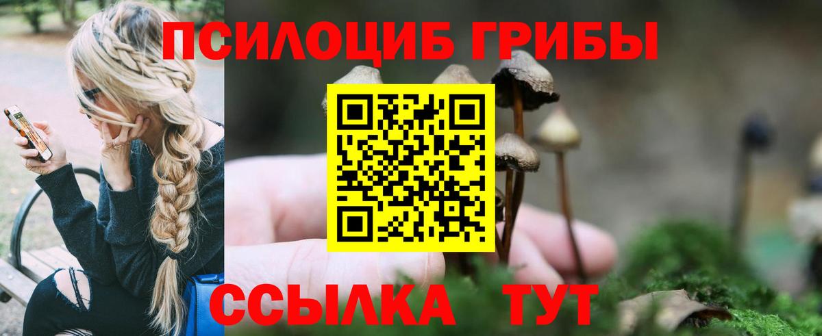 Галлюциногенные грибы Psilocybe  Галлюциногенные грибы MAGIC MUSHROOMS  Орёл  Вход с VPN 