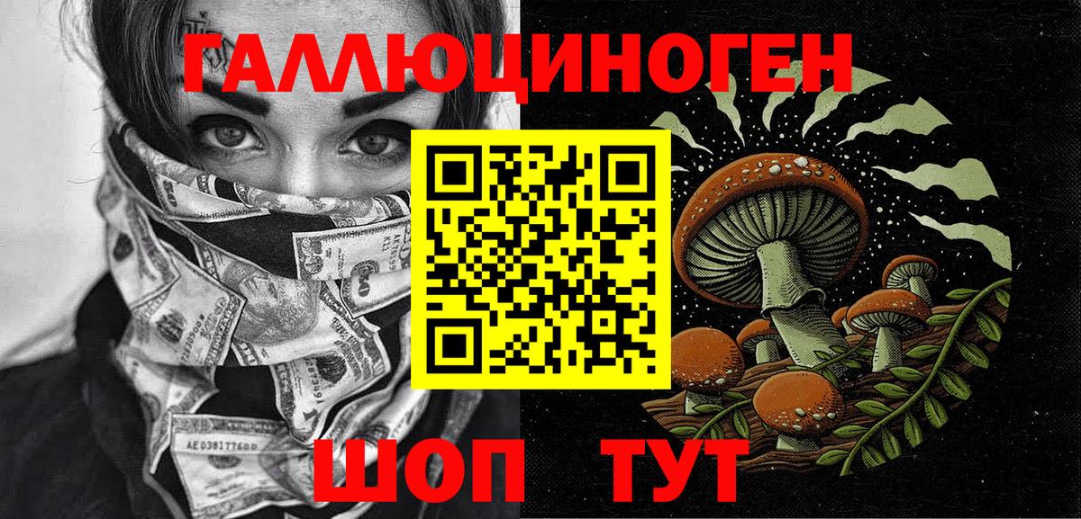 Псилоцибиновые грибы Psilocybine cubensis Орёл